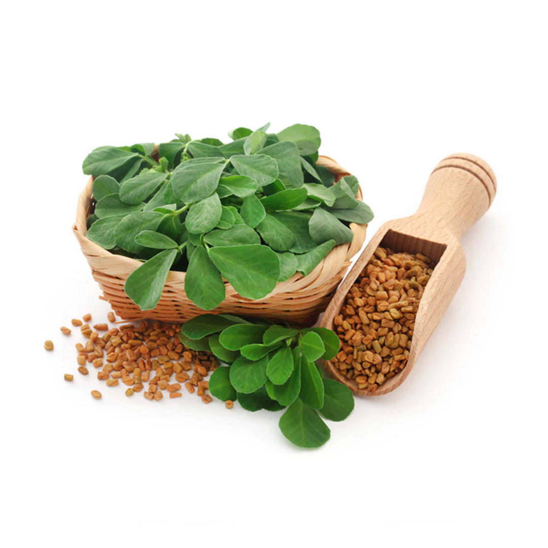 Ceylon Spices | Ceylon Fenugreek