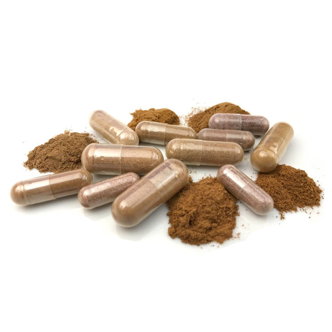 KOTHALAHIBUTU ( Salacia reticulata ) Capsule 300mg | Best Ayurvedic Products in Sri Lanka